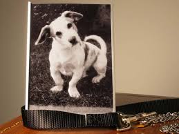 It depends on several factors such as weight of pet and whether you want a private cremation (dog is cremated individually and ashes are returned to the owner) versus a communal (pet is cremated along with others and ashes are not returned). Cremating Your Pet May Mean You Get Back More Than Just Their Ashes The Independent The Independent