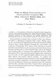 Image result for Hymenophyllum triangulare