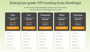Vps Hosting Guide What Is Vps Shared Hosting Vs Vps