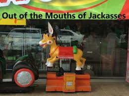 What is the meaning of male chauvinist pig in various languages. Being A Sexist Misogynist Pig Is Godly Suzanne Titkemeyer