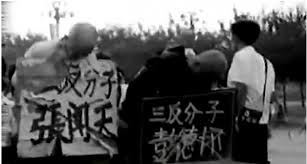 Image result for 彭德怀被斗照片