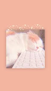 Cute Cat Aesthetic Wallpaper Cute Cat Wallpaper Wallpaper Wallpaper Iphone Cute