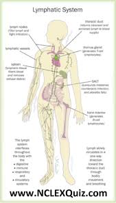Pin On Nursing School Study Tips Nclex