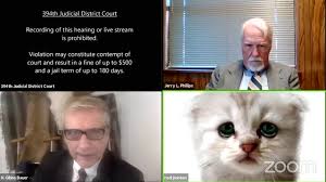 A judge, lawyer and cat hop on a zoom call. Lawyer S Zoom Settings Stuck On Kitten Filter During Awkward Court Appearance The Independent