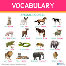 Vocabulary Animal Sounds English Vocabulary Words
