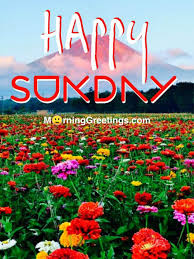 Happy sunday good morning images with quotes in hindi. 40 Wonderful Happy Sunday Morning Images Morning Greetings Morning Quotes And Wishes Images