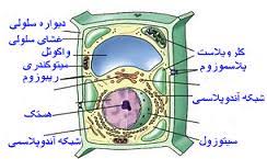 Related image