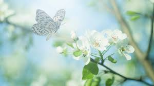 But only so an hour. Relaxing Music Peaceful Nature Music New Journeys By Tim Janis Youtube