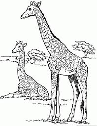 This collection includes mandalas, florals, and more. Giraffe Coloring Pages