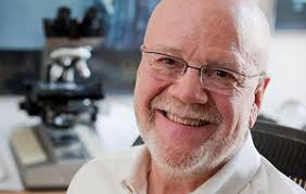 MIP Newsletter, CVMBS, Colorado State University