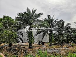 Situated in klang, selangor region, oyo 1167 rest & go hotel, klang is located 7 km from royal gallery selangor. Agriculture Land For Sale At Telok Panglima Garang Selangor For Rm 1 700 000 By Simon Khoo Durianproperty