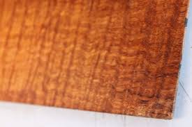 Image result for Afzelia