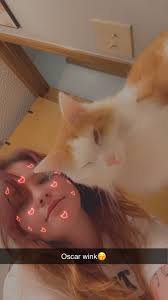 Is this anyone's missing cat? She's been visiting my balcony