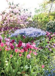 Do you want to recommend secret garden rare plants? Lea The End Of The Rainbow En Linea