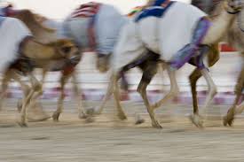 Setting up a gmail account is easy, but deleting a gmail account is not as intuitive as it should be. The Saudi Camel Festival Will Knock The Socks Off Most Other Festivals Times Of India Travel