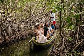 Cartagena Half Day Guided Mangrove Tour Shore Excursion 2021