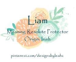 Baby Boy Name Liam Meaning Resolute Protector Origin Irish Www Pinterest Com Designsbyleahc Liam Boy Names Baby Boy Names Names With Meaning
