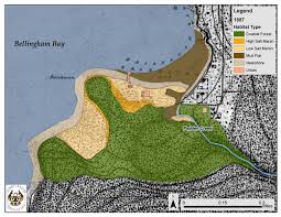 Maybe you would like to learn more about one of these? Padden Creek Estuary Habitat Enhancement Project City Of Bellingham