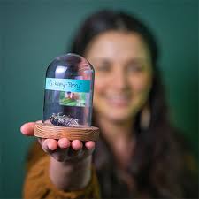 Our People: meet the team behind Rustici Software