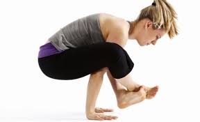 17 west state street • doylestown, pa. Sun Dog Yoga Studio Sundogyoga Twitter