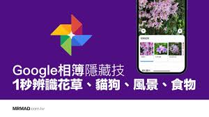 Maybe you would like to learn more about one of these? Google Photos Hidden Technique Identify Flowers Plants Cats And Dogs Scenery And Food In 1 Second Iphone Wired