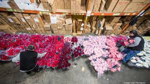 Maybe you would like to learn more about one of these? United Wholesale Flowers In San Jose Finds Right Arrangement For Any Occasion Photos Video Silicon Valley Business Journal