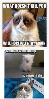 Top 20 Grumpy Cat Memes School Funny Grumpy Cat Memes Grumpy Cat Humor Grumpy Cat Meme