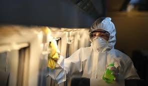 Shopping in busan best museums amazing temples to see food to try best restaurants nightlife gu. The Public Judgment Of South Korea S Covid 19 Response The Interpreter