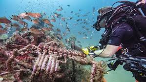 Maritime archaeologists document historic Graveyard of the Atlantic  shipwrecks | Office of National Marine Sanctuaries