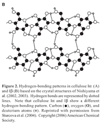 Maybe you would like to learn more about one of these? Scielo Brasil Structure Organization And Functions Of Cellulose Synthase Complexes In Higher Plants Structure Organization And Functions Of Cellulose Synthase Complexes In Higher Plants