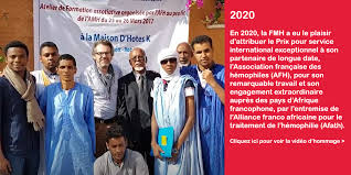 L' hémophilie b est un déficit de coagulation du sang, dû à un problème avec le gène qui code pour le facteur de coagulation ix (fix). Prix World Federation Of Hemophilia