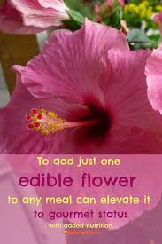 Note, this list is not complete. 68 Edible Flowers For Beauty Flair Food And Health Gardensall Flowers