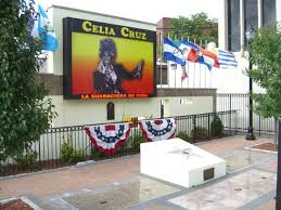 @celia.salon • • • #hairstyles #haircolor… Celia Cruz Purehistory