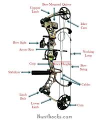 Compound Bow Parts Diagram Compound Bow Sights Best