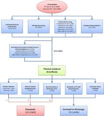 Thoracic Epidural Anesthesia Can Be Effective For The Short