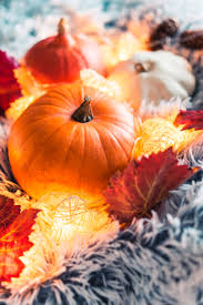 Still life life still halloween halloween still pumpkin autumn season holiday fall decoration seasonal october orange lantern leaf smile black scary jack o lantern treat trick face spooky dark celebration. Halloween Pumpkins Still Life Free Stock Photo Picjumbo