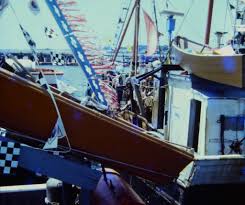 Image result for Brown 1972 Fleet