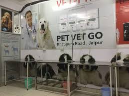 Glen oak dog and cat hospital has earned accreditation from the american animal hospital association, an accreditation organization handling. Top 30 Veterinary Hospitals In Jaipur Best Animal Hospitals Justdial