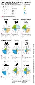 Les Pesticides Mettent En Peril Notre Avenir Alimentaire Pesticides Agriculture Biodiversite