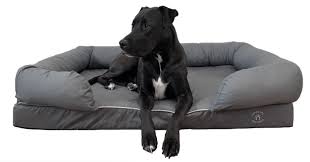 Cheap large dog beds australia. 10 Best Large Dog Beds Australia Including Xl Xxl Xxxl Gentledogtrainers Com Au