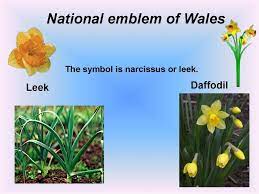 Wales is a proud nation. National Symbols Of Great Britain Online Presentation