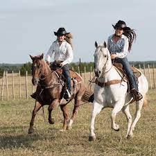 Resistol Ridesafe Western Hat Helmet Small Statelinetack Com In 2021 Equestrian Outfits Western Hats Western Riding