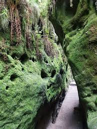 Etwa 700 stufen führen durch die bizarre felsenwelt hinauf. Sachsische Schweiz Tipps Fur Basteibrucke Schwedenlocher Wandern