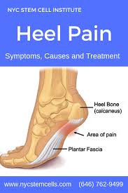 Pin On Stem Cell Therapy For Other Diseases