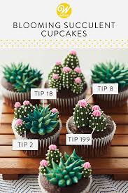 Beautiful Blooming Succulent Cupcakes Recipe Succulent Cupcakes Succulent Cake Blooming Succulents