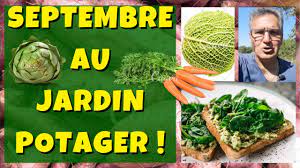 When used as a dry grain, the seed is also called a pulse. Septembre 2019 Au Jardin Potager Que Planter Semer Et Bouturer Youtube