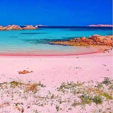 Budelli and the pink beach. The Pink Beach Of Budelli Sardinia Pics
