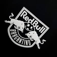 We did not find results for: Camisa Red Bull Bragantino Ii 2020 21 Torcedor Masculina