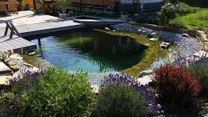 Schwimmteich Fotos Schwimmteich Bilder Gartenteich Bilder Teichfotos Teichbilder Honcak At In 2020 Schwimmteich Gartenteich Bilder Naturschwimmbecken