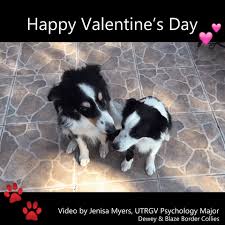 Valentines Day Video Gifs Get The Best Gif On Giphy Share a gif and browse these related gif searches. valentines day video gifs get the